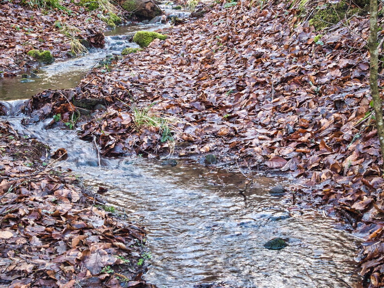 20220205202149-0ce24e3d